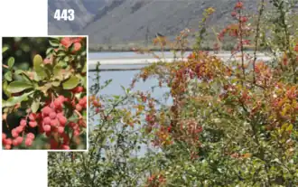 Нет доступного изображения