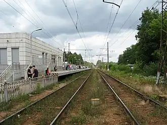 Вид в сторону Всеволожска, 2021 год