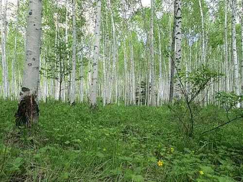 В Хабаровском крае