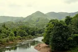 Верховье реки Бхадра летом 2014 года