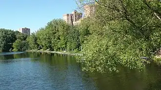 Большой Садовый пруд, 2015 год