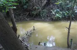 Беленькая в Нижнем