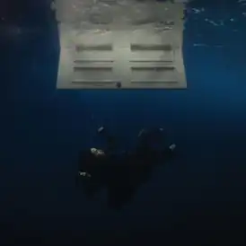 Обложка альбома Билли Айлиш «Hit Me Hard and Soft» (2024)