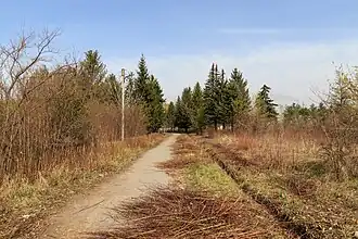 Одна из аллей сада