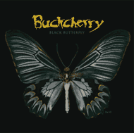Обложка альбома Buckcherry «Black Butterfly» (2008)