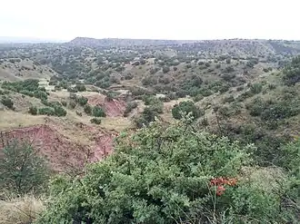 Каньон Бланко