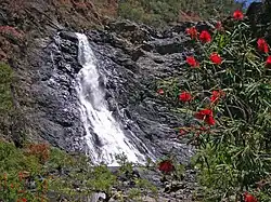 Водопад Блумфилд