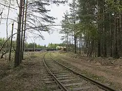 Ответвления на деревообрабатывающие предприятия