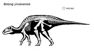 Реконструкция скелета