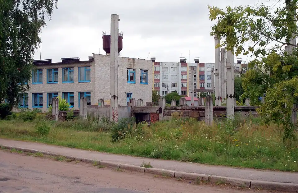 Деревня Большое Кузёмкино. 2008 год