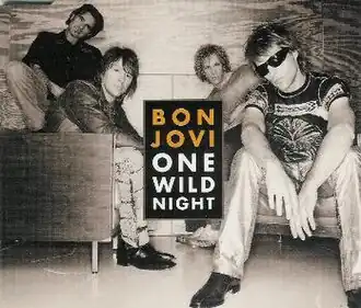 Обложка сингла Bon Jovi «One Wild Night» (2001)