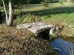 Мост Колиньи