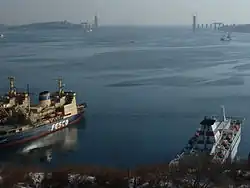 Вид на пролив и строящийся Русский мост с мыса Эгершельд (2010)