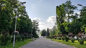 Северная часть бульвара.На заднем плане — гостиница «Градецкая»