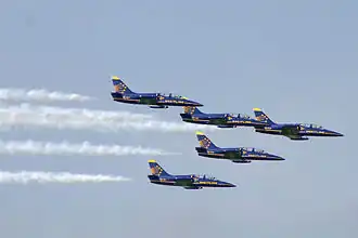 L-39 пилотажной группы Breitling, 2004 год