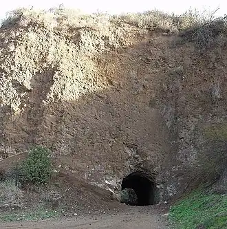 Каньон Бронсон