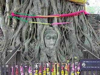 Голова Будды на 2004 год украшенная туристами (общий фронтальный вид)