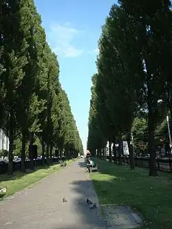 Бульвар Тараса Шевченко в Киеве