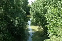 Верхнее течение Омброне возле Буонконвенто весной 2011 года.