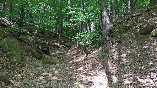 Остатки рва в западной части комплекса