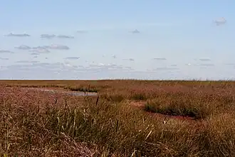 Коса Бирючий Остров