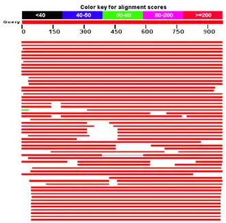 Скриншот программы BLAST
