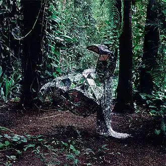 Обложка альбома Cansei de Ser Sexy «Donkey» (2008)