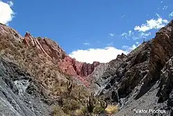 Каньон-дель-Инка (5)