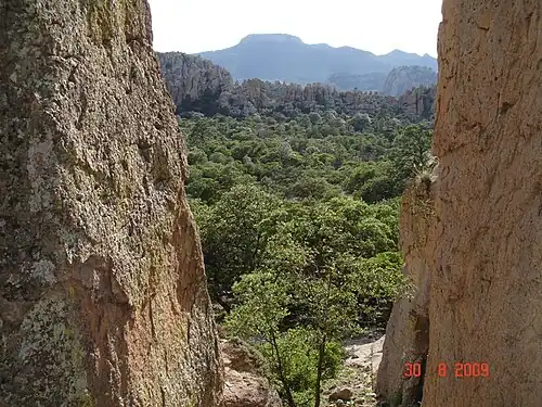 Каньон вблизи Сайнапучи