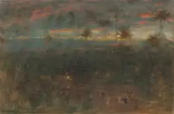 Капустные пальмы, Демерара, 1902