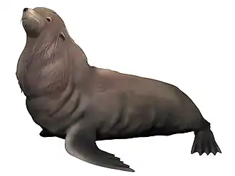 Реконструкция