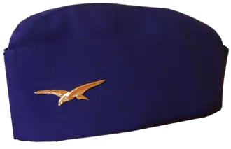 Пилотка французского летчика