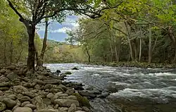 Верхнее течение реки осенью 2015 года.