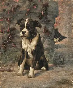 Подсматривающий  котёнок.