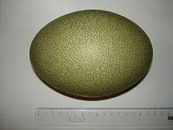 Яйцо казуара