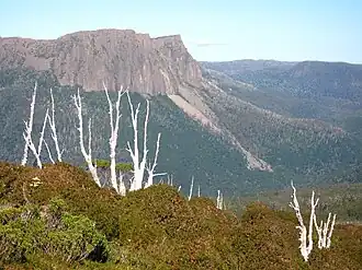 Гора Катидрал, вид с горы Пелион-Ист