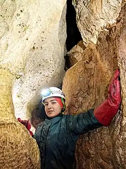 Середина меандра