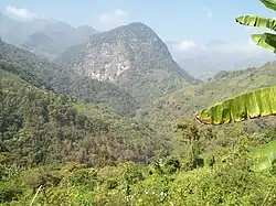 Гора Алгодон