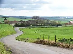 Шартрёз Пастиссе