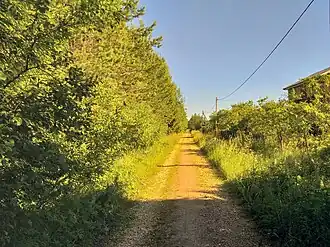 СНТ «Сокол». 1-я линия.