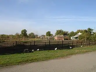 Подворье в Чебачем. 15.10.2018