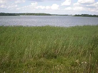 Вид на озеро со стороны деревни Гора