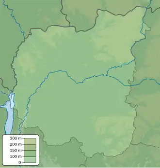 Речище (рукав Днепра) (Черниговская область)