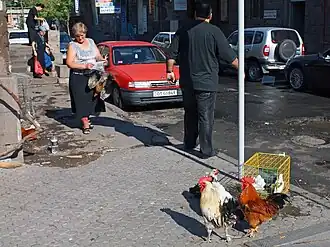 Продажа живых кур на уличном рынке в Ереване