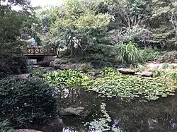 Пруд с «золотыми рыбками»