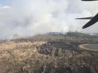 Пожары в апреле 2020 года в Чернобыльской зоне отчуждения на Украине. Фотография с самолёта МЧС Украины