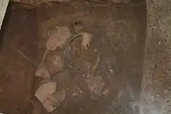 Костные остатки, указывающие на практику захоронения животных.