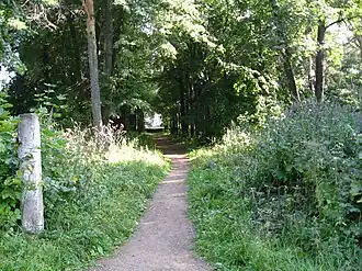 Главная аллея нынешнего Городского сада