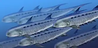 Реконструкция Climatius reticulatus