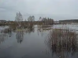 Цна во время паводка, вид с моста у с. Куплиям